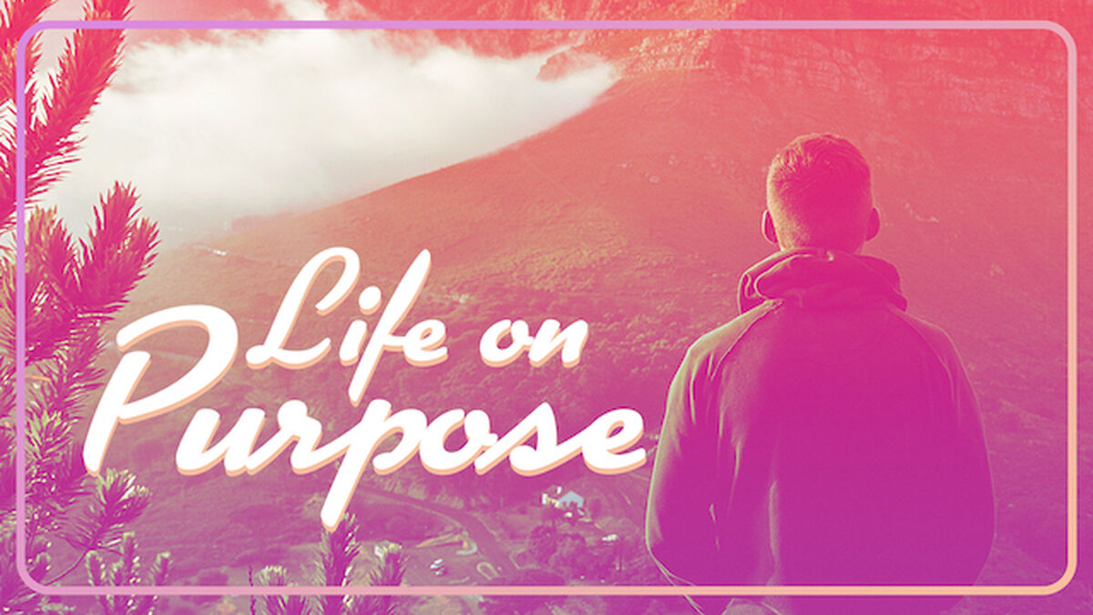 Life On Purpose image number null